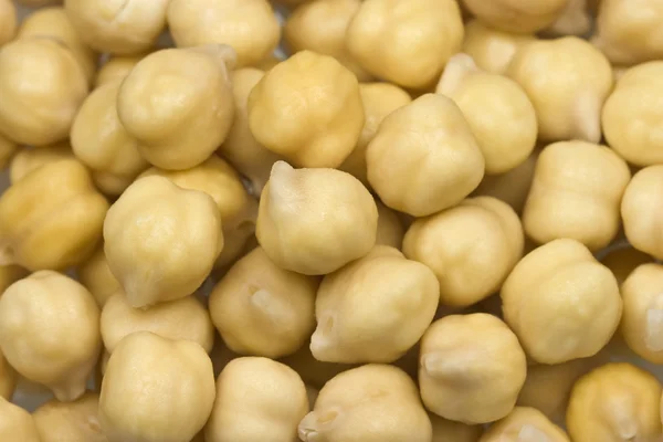 Chickpeas or garbanzo beans — Zdjęcie stockowe