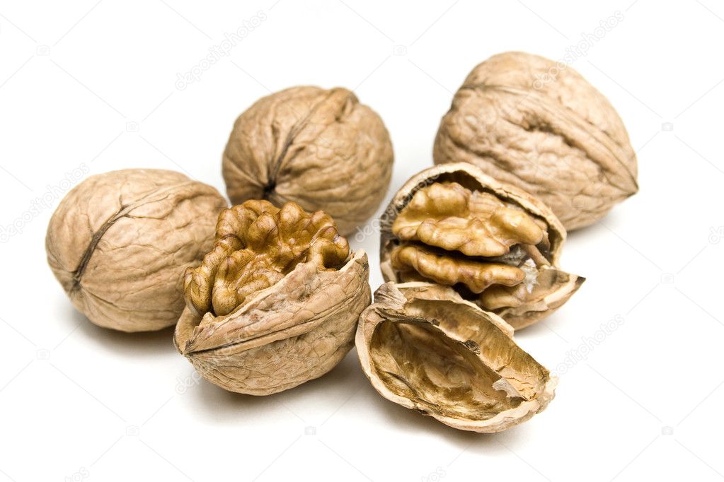 Walnut group isolated on a white background