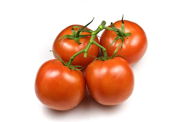 Trussed Tomatoes — Stock Photo, Image