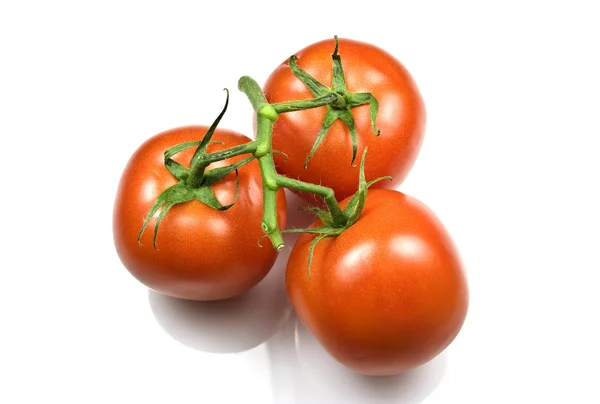 Pomidory trussed — Zdjęcie stockowe