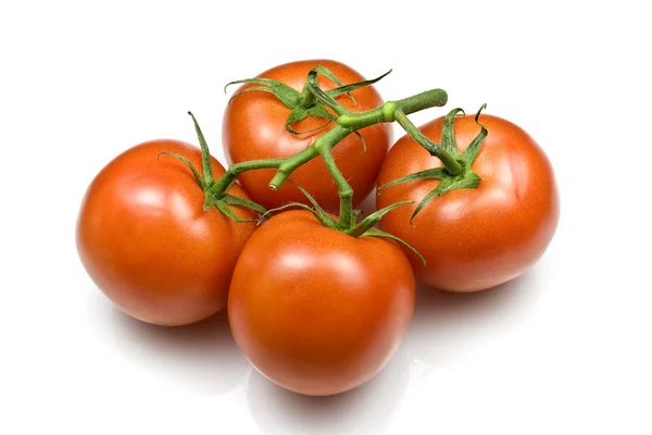 Trussed помідори — стокове фото