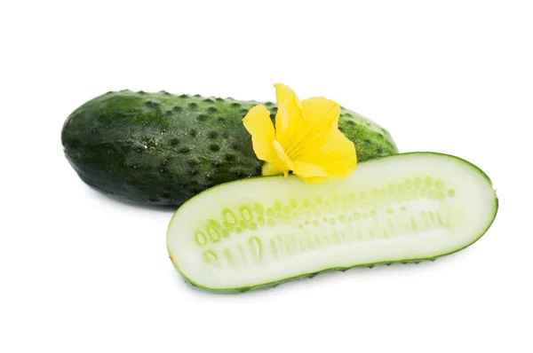 Green cucumber vegetable with flowers isolated — Stock Photo, Image
