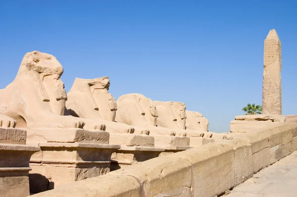 Beelden in de oude tempel. Luxor. Egypte — Stockfoto