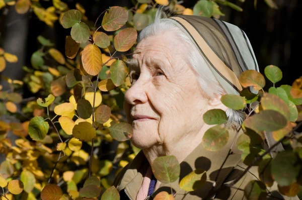 Hermoso retrato de una anciana al aire libre — Foto de Stock
