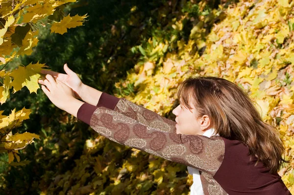 Красивая девушка с осенними листьями — стоковое фото