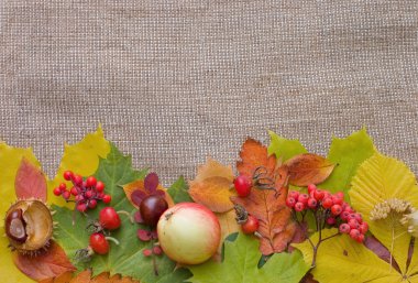 Autumn Leaves over Burlap background clipart