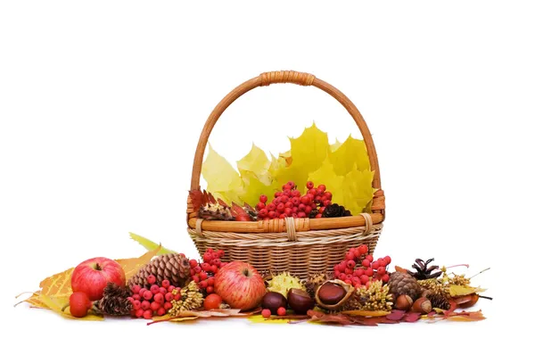 Folhas de outono e frutas isoladas em fundo branco — Fotografia de Stock