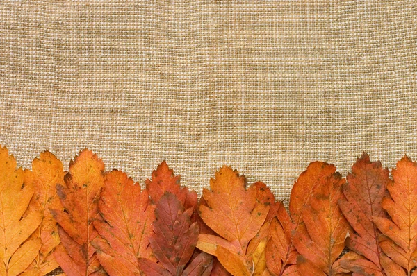 Το φθινόπωρο τα φύλλα πάνω από λινάτσα φόντο — Φωτογραφία Αρχείου