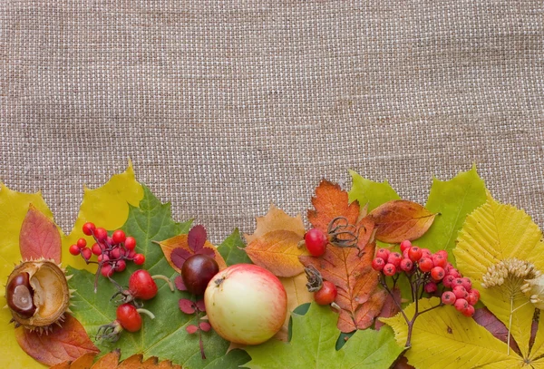 Őszi levelek zsákvászon háttér — Stock Fotó