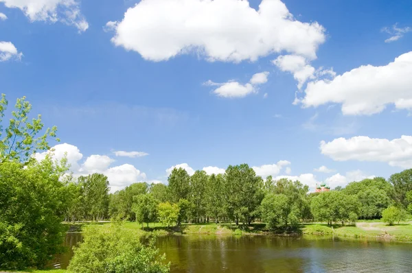 Summer landscape with river and blue sky — Stock Photo, Image