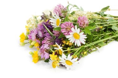 Bouquet of wild flowers isolated on white background clipart