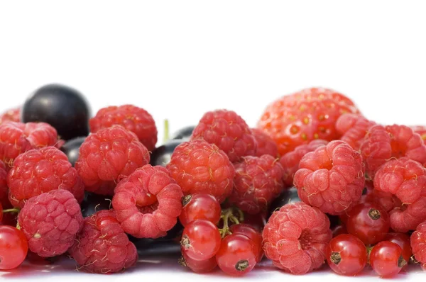 Garten reife Beeren isoliert auf weißem Hintergrund — Stockfoto