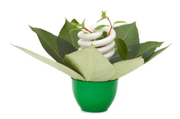 에너지 녹색 잎에 전구를 절약 — 스톡 사진