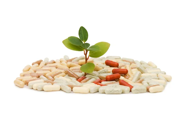 Zelený výhonek z pilulky — Stock fotografie