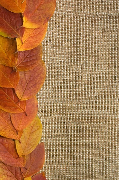 Podzimní listí nad pytlovina pozadí — Stock fotografie