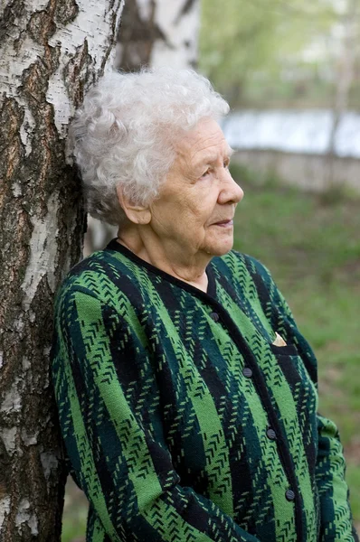 Hermoso retrato de una anciana al aire libre —  Fotos de Stock