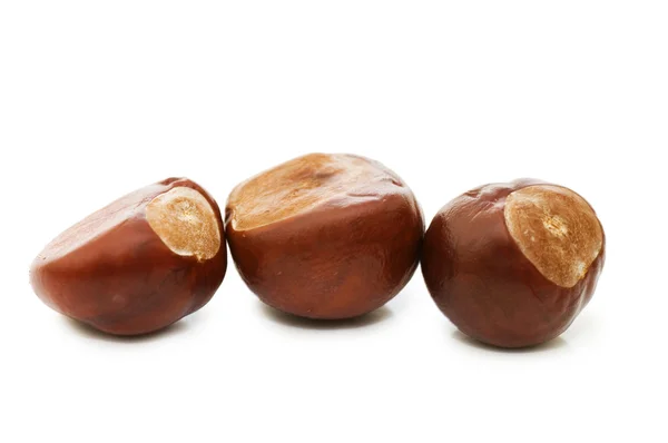 Brown chestnut nut closeup isolated on white background — Stock Photo, Image