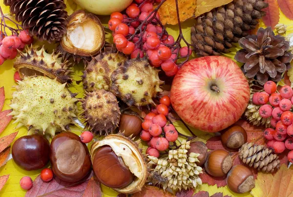 Autumn leaves and fruits. background — Stock Photo, Image