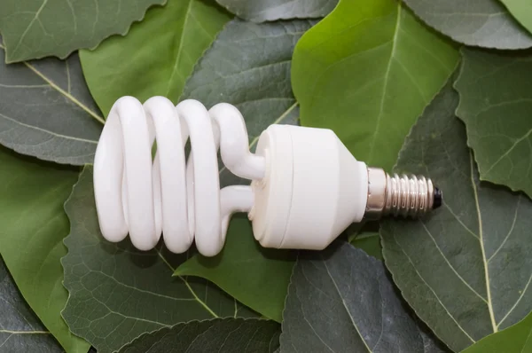 Energiesparlampe auf grünen Blättern lizenzfreie Stockbilder