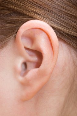 Closeup of a human ear clipart