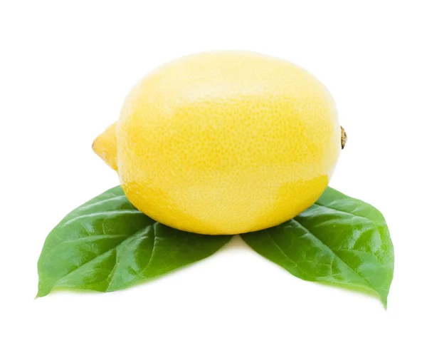 Fresh juicy Lemon with green leafs. Isolated on white background — Stock Photo, Image