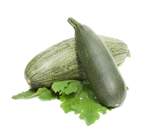 Green vegetable marrow isolated on white background — Stock Photo, Image