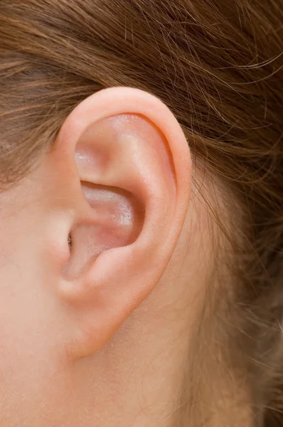 Fechar de um ouvido humano — Fotografia de Stock