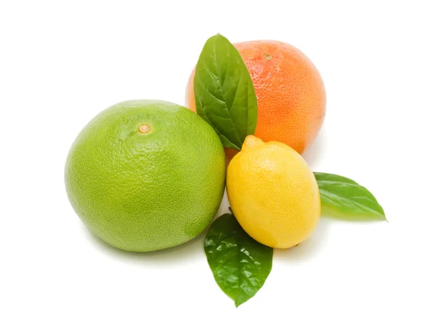 Fresh juicy grapefruits with green leafs. Isolated — Stock Photo, Image