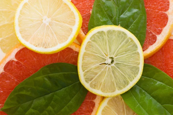 Verse sappige grapefruits met groene bladeren — Stockfoto
