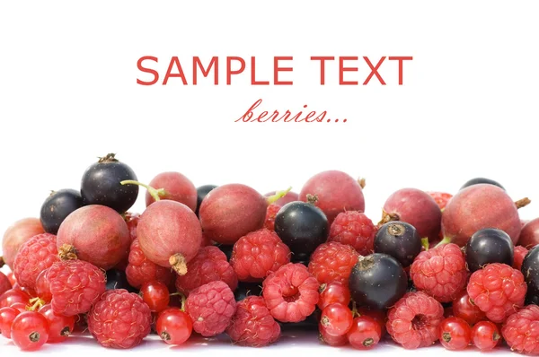 Garden Ripe Berries Isolated White Background — Stock Photo, Image