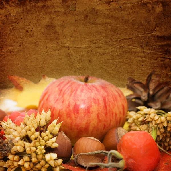秋天的叶子和果实。复古背景 — 图库照片