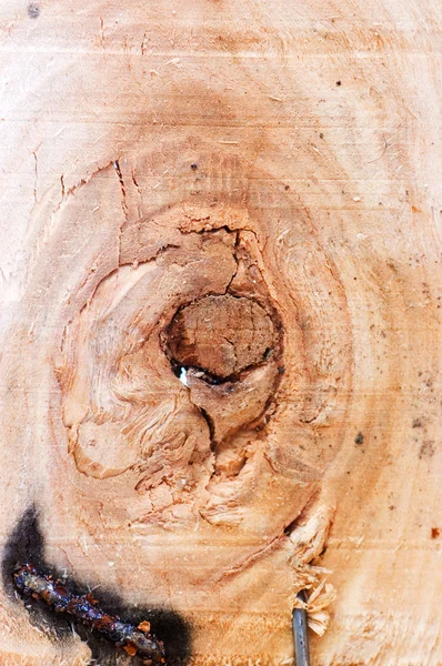 Структура Деревянной Доски — стоковое фото