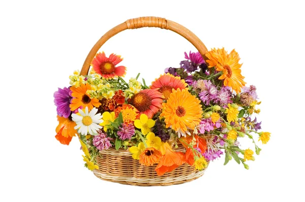 Beautiful Flowers Basket Isolated White — Stock Photo, Image