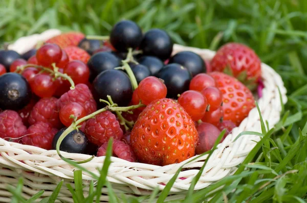 Спелые ягоды в корзине — стоковое фото