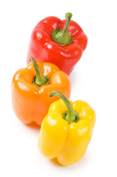 Three Pepper Isolated White Background — Stock Photo, Image