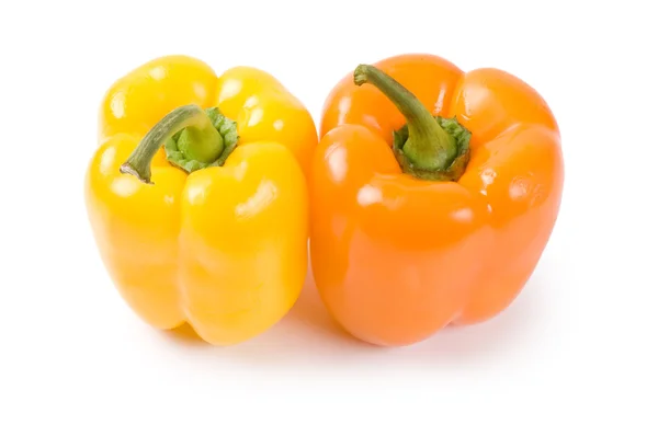 Two Pepper Isolated White Background — Stock Photo, Image