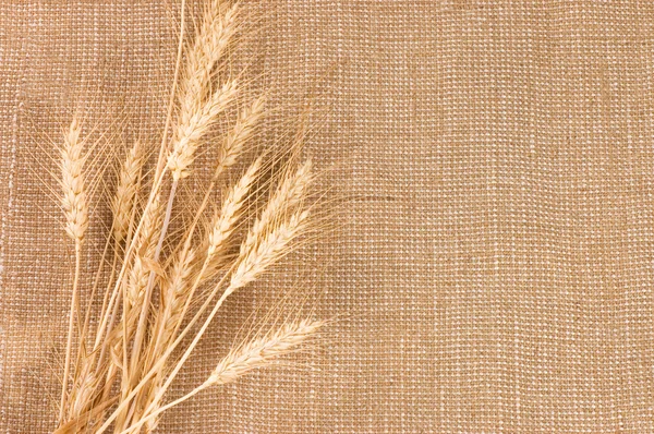 Orecchie di grano bordo su sfondo iuta — Foto Stock