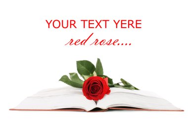 Beautiful red rose on the book isolated clipart