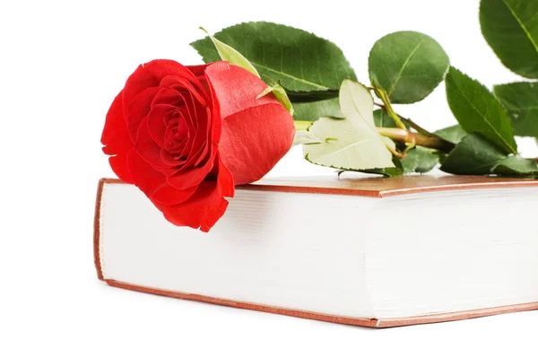 Vacker röd ros på boken isolerade — Stockfoto
