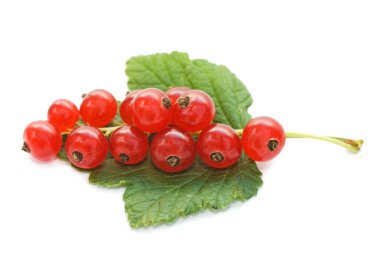 Beyaz arkaplanda kırmızı frenk üzümü izole edildi