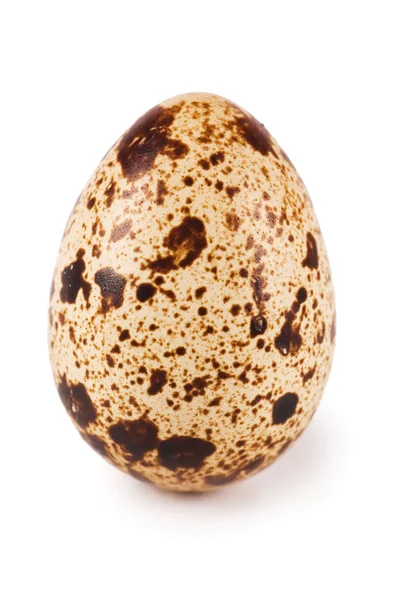 Codorna de ovo isolada sobre fundo branco — Fotografia de Stock