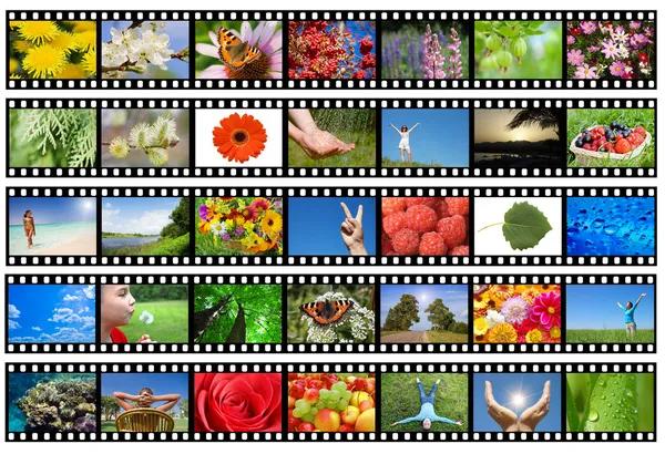 Film strip with different photos - life and nature — Stock Photo, Image