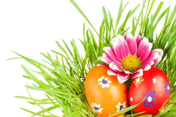 Egg easter in a grass Isolated on white — Stock Photo, Image
