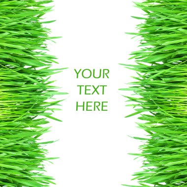 Fresh green grass isolated on white background clipart