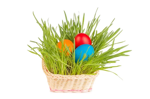 Egg easter in a grass Isolated on white — Stock Photo, Image