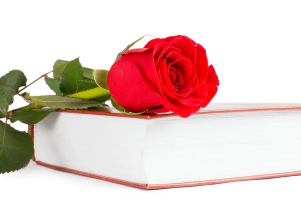 Schöne rote Rose auf dem Buch isoliert — Stockfoto