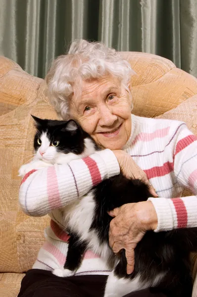 Бабуся з кішкою на дивані Стокове Фото