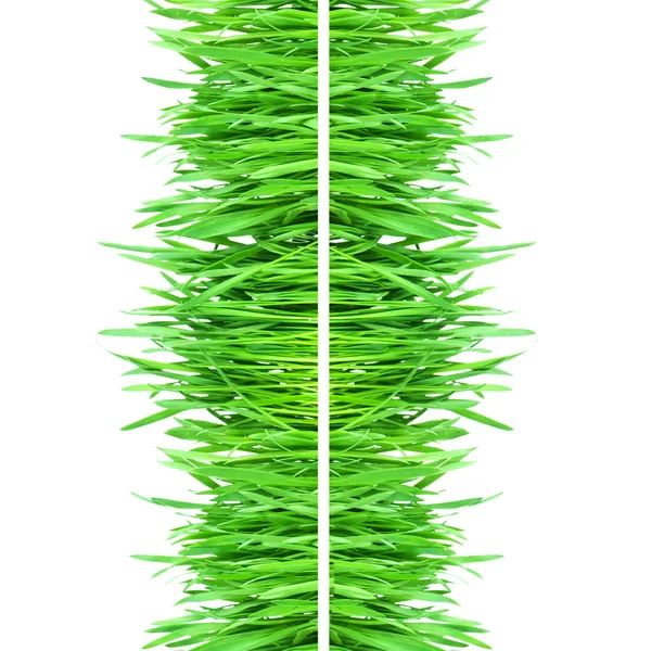 Färskt grönt gräs isolerad på vit bakgrund — Stockfoto