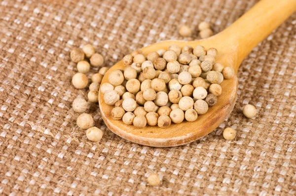 White Peppercorns on a wooden spoon — Stock Photo, Image