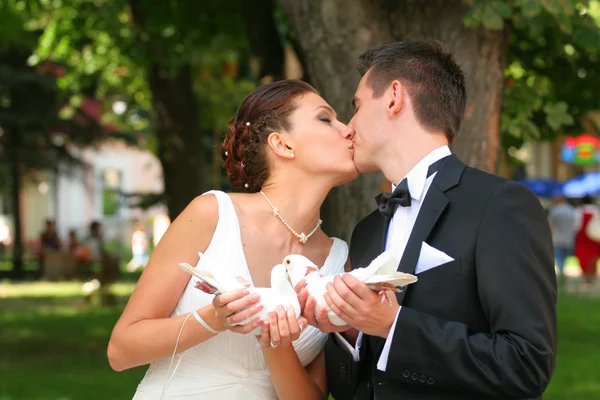 Braut und Bräutigam — Stockfoto
